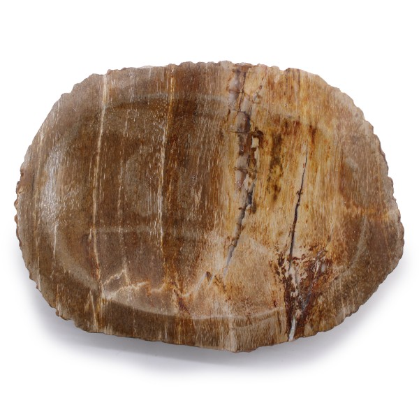 Jabonera Marrón Madera Petrificada