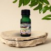 Aceites de Fragancia 10ml Casa - Salon - Kickback y Relax