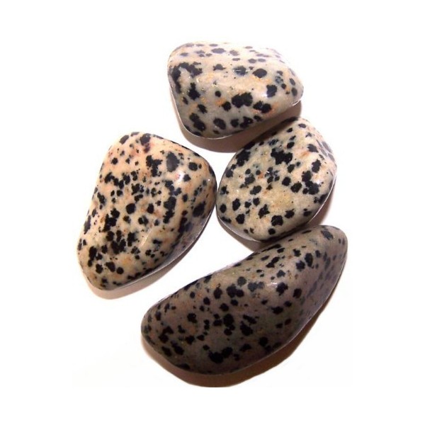 L Tumble Stones - Dalmata