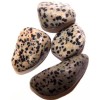 L Tumble Stones - Dalmata