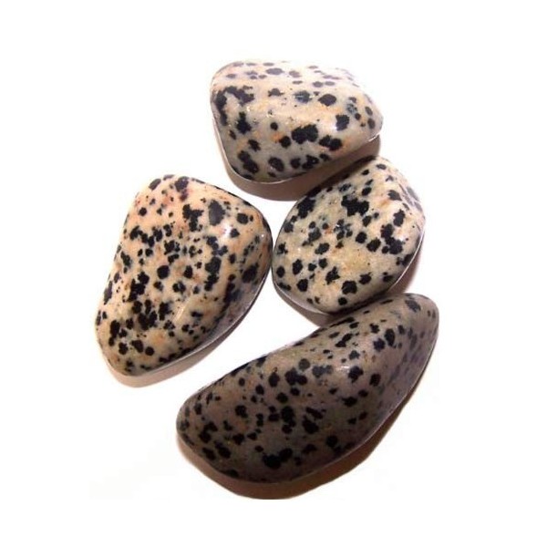 L Tumble Stones - Dalmata