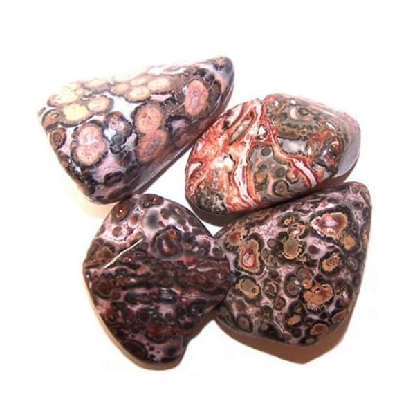 L Tumble Stones - Leopard Skin