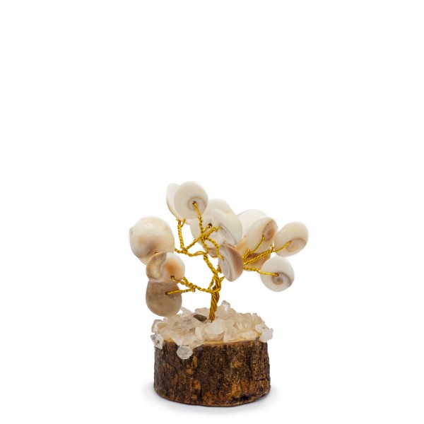 Pequeño Gomati Chakra Árboles de Piedra Círculo con Rudraksha - (15 piedras)