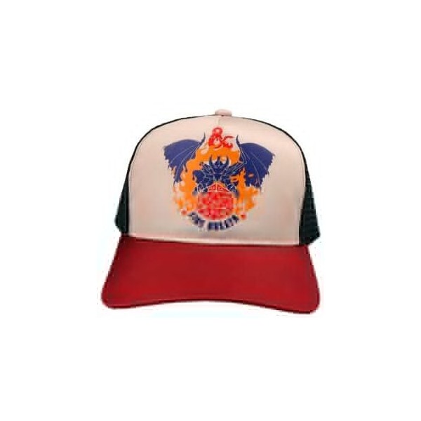 Gorra Rejillas Dragones y Mazmorras Dungeon & Dragons Thunder