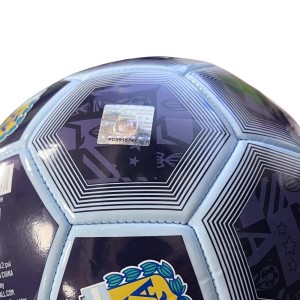 Balon Seleccion Argentina Futbol