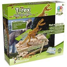 Rex Fossil...