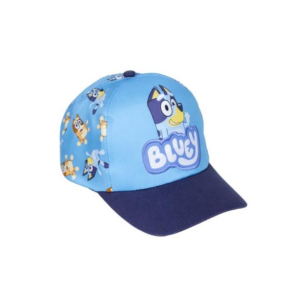 GORRA VISERA CURVA BLUEY