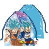 Picnic Bag Dragon Ball04 26,5X21,5Cm