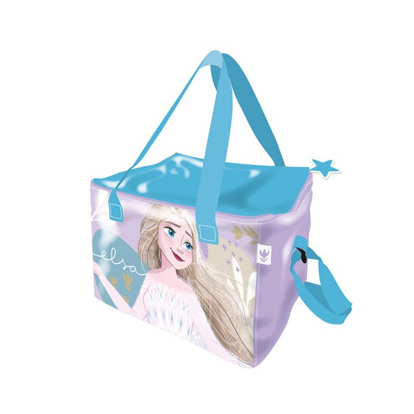 Bolsa Termica 22.5X15X16.5 Frozen