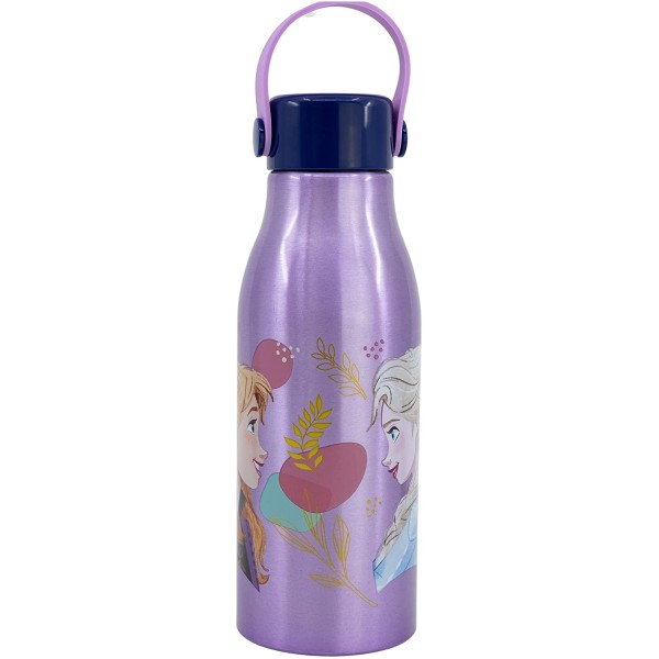 Botella Infantil Aluminio Frozen ll Disney 760ml Con Asa