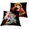 Cojin One Piece 35x35cm.