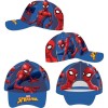 Gorra Spiderman Sublimation T.53-55