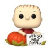 Funko pop peanus linus